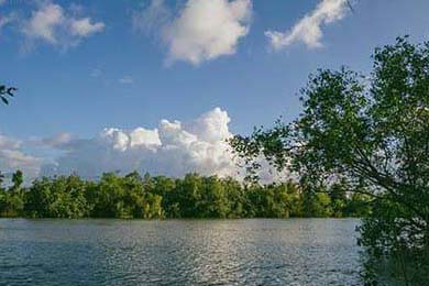 德甲高压战术下球员冲刺频率与决策质量的平衡机制分析