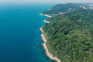 中国三人女篮坚持科学训练，中国队三人女篮