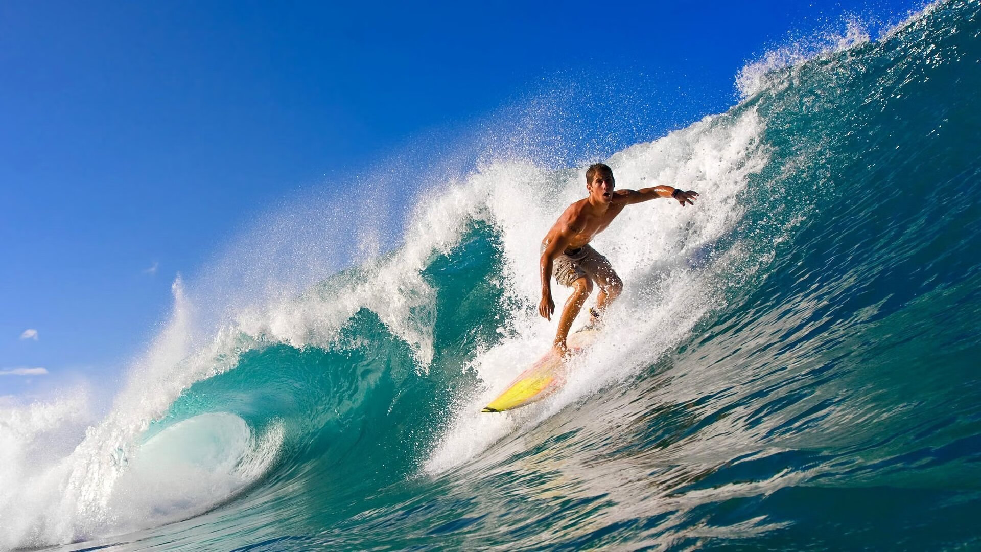 体育新闻中心协助地方体育局开展内容传播工作,体育新闻的报道